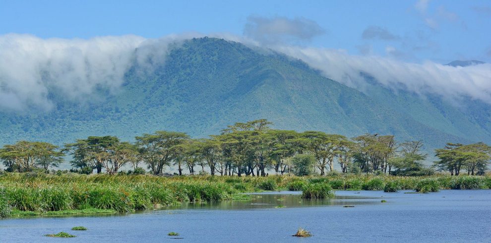 Crater_Swamps